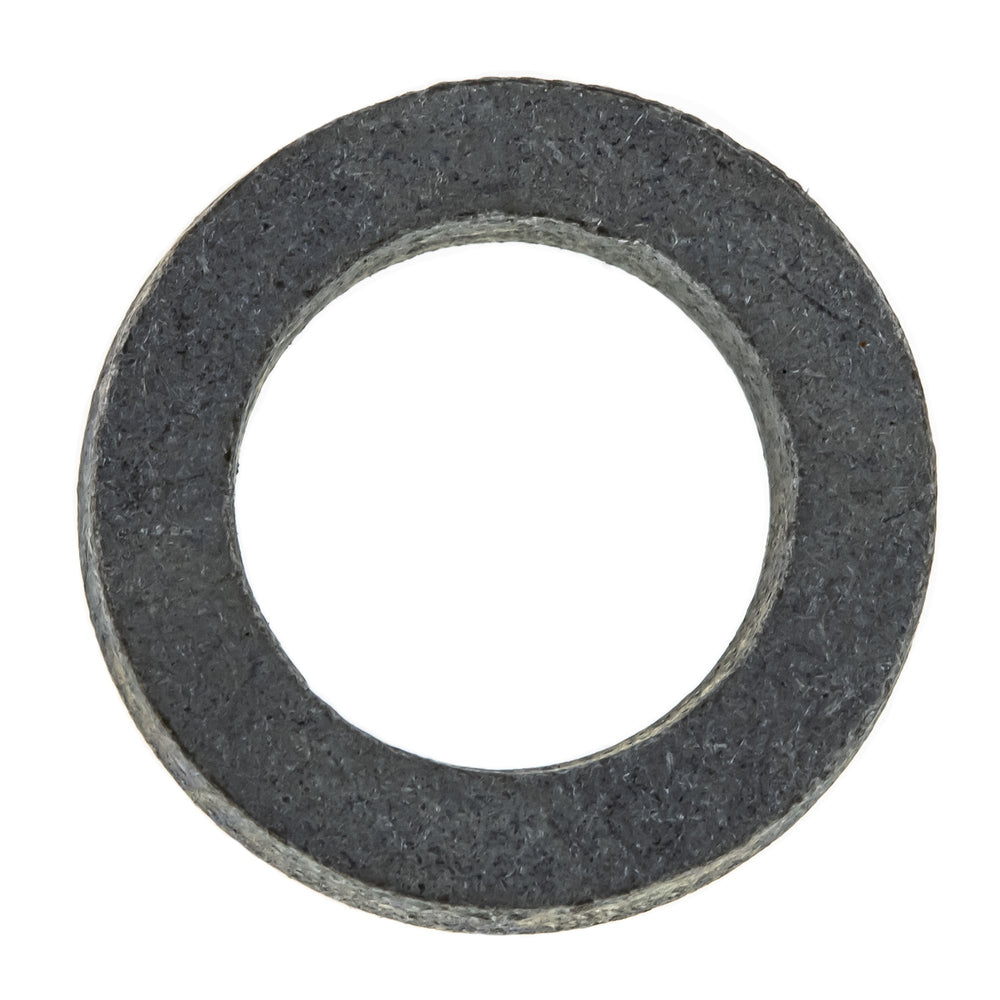BRP M8 Flat Washer 250200111