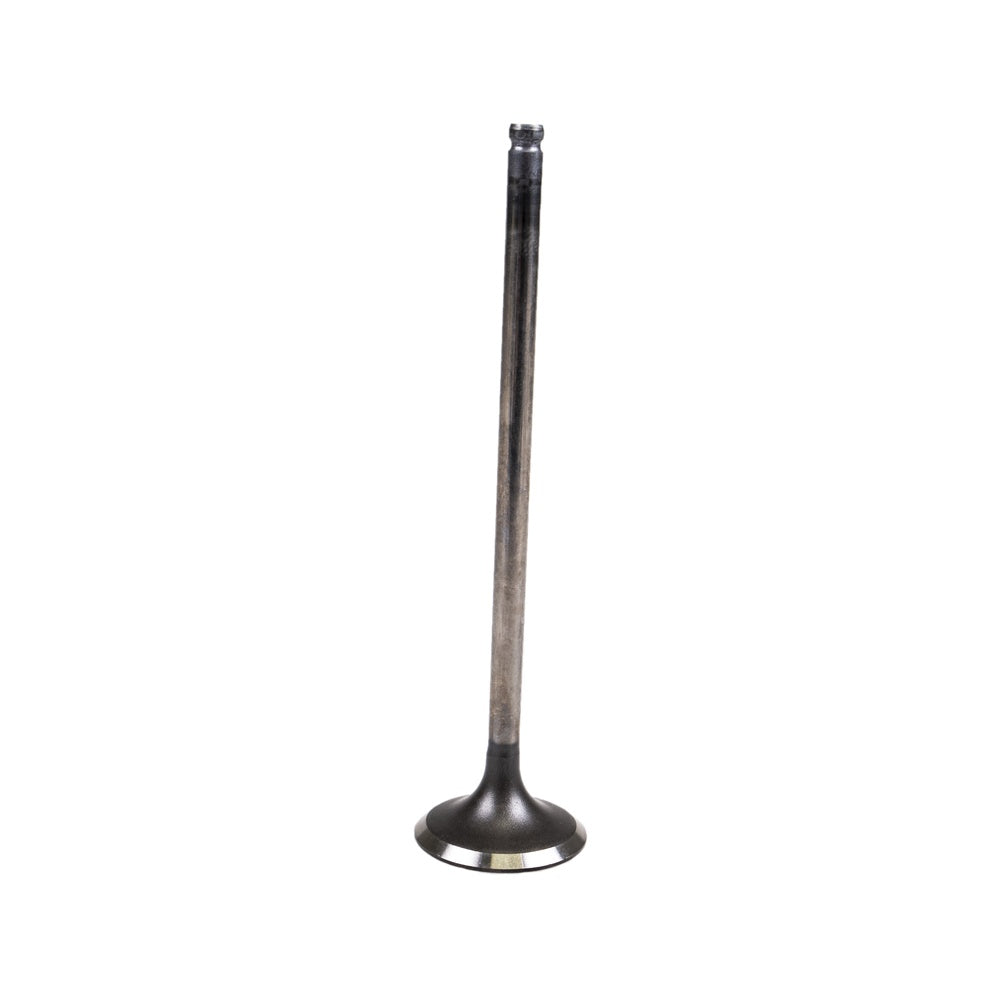 Polaris Intake Valve 30mm 3022099