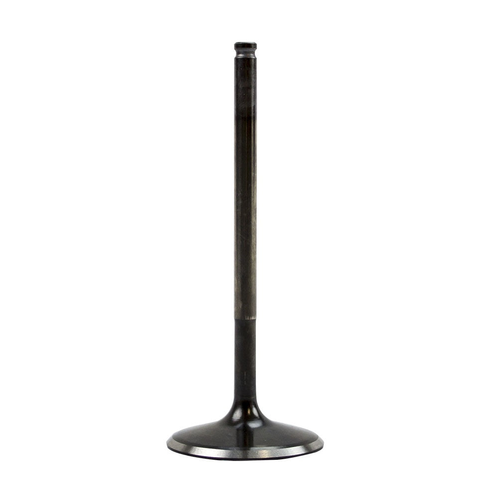 Polaris Intake Valve Steel G-90 3022134