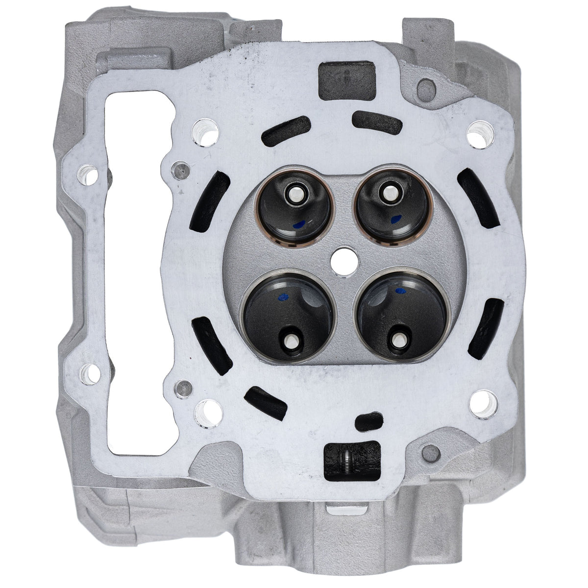 Polaris Cylinder Head 3022407 alternate view