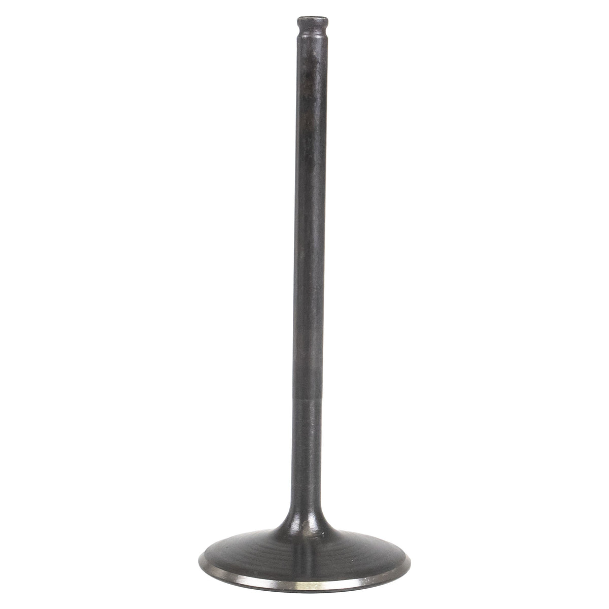 Polaris Intake Valve Steel 3022884