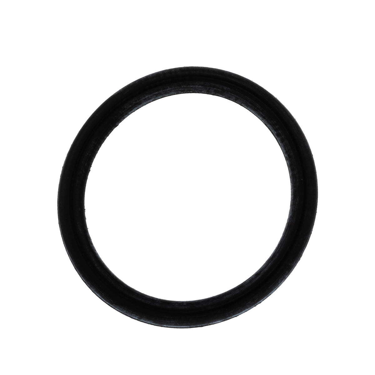 Polaris Plug Screw O-Ring 3050217
