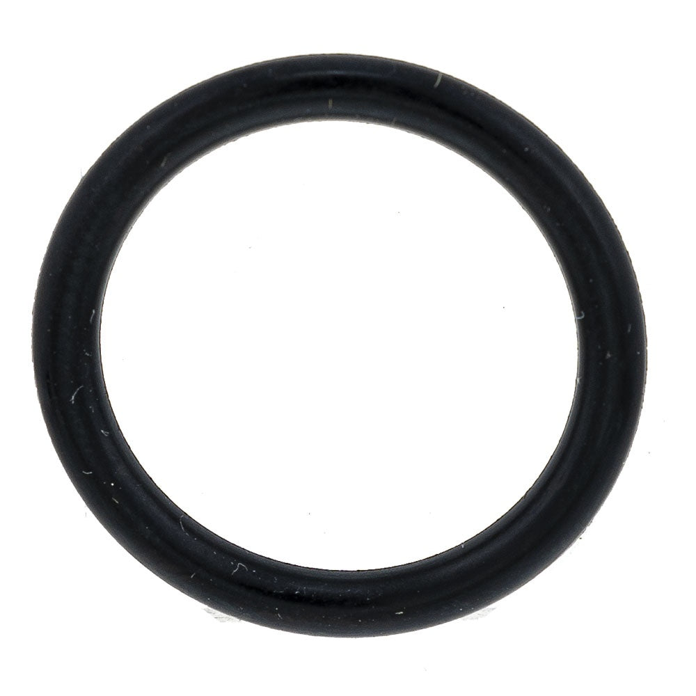 Polaris O-Ring 3084847