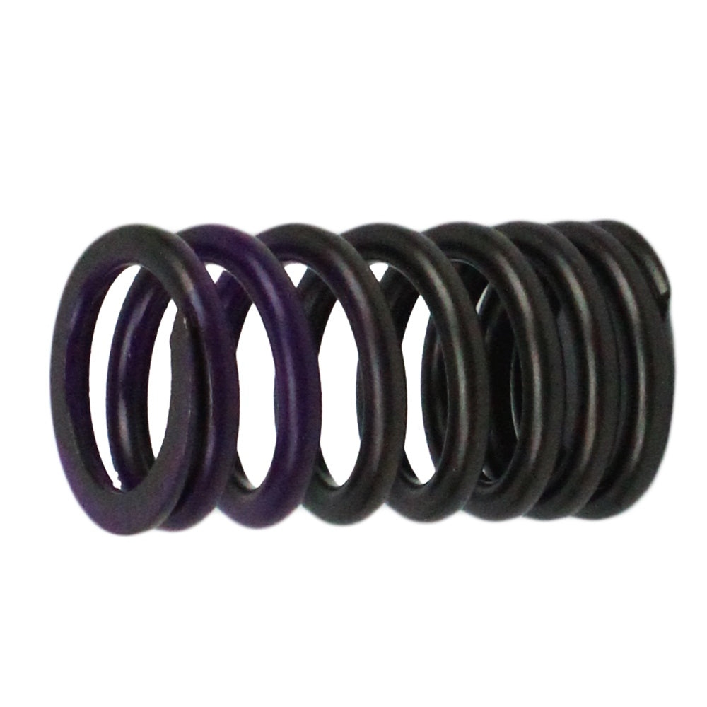 Polaris Valve Spring 3086892 alternate view