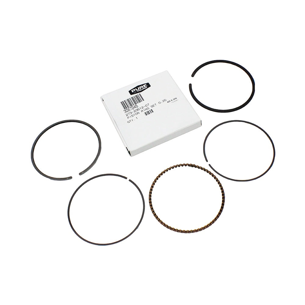 Polaris Piston Ring Set .010/.25MM 3087245