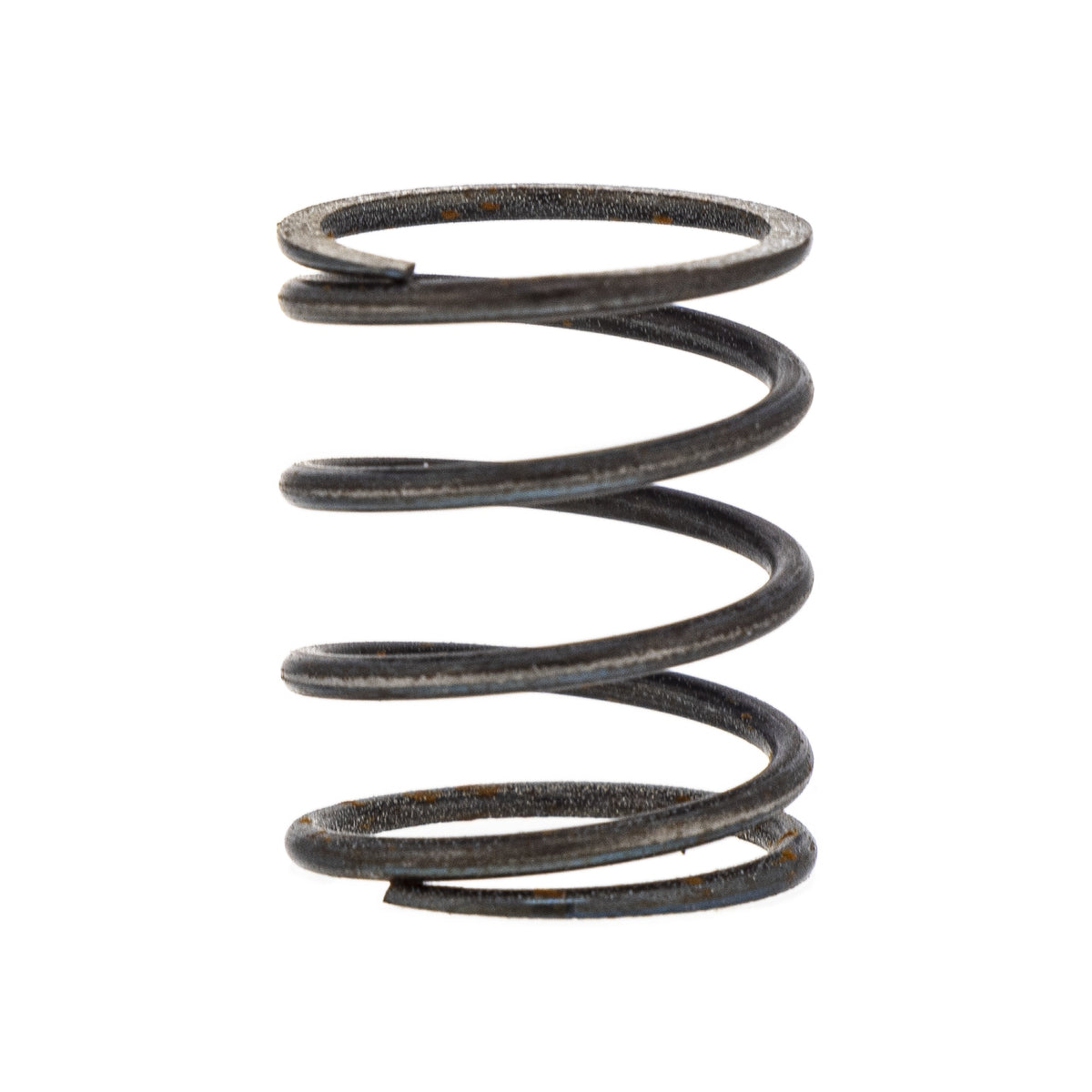 Polaris Spring Filter 3088042