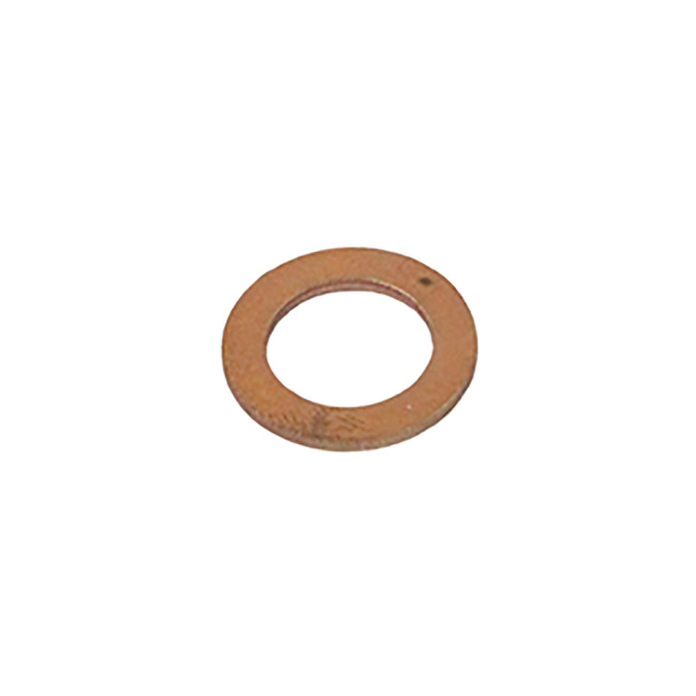 Polaris Washer 3089794