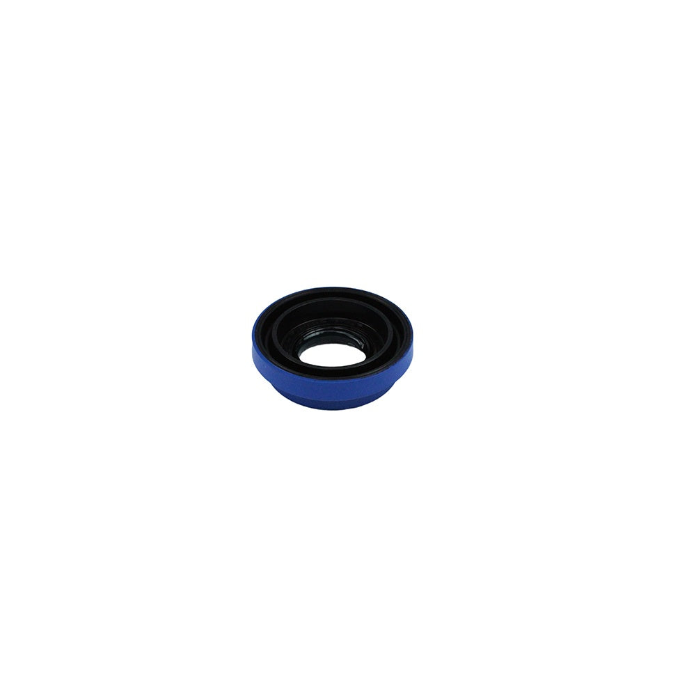 Polaris Dual Lip Seal 3233874