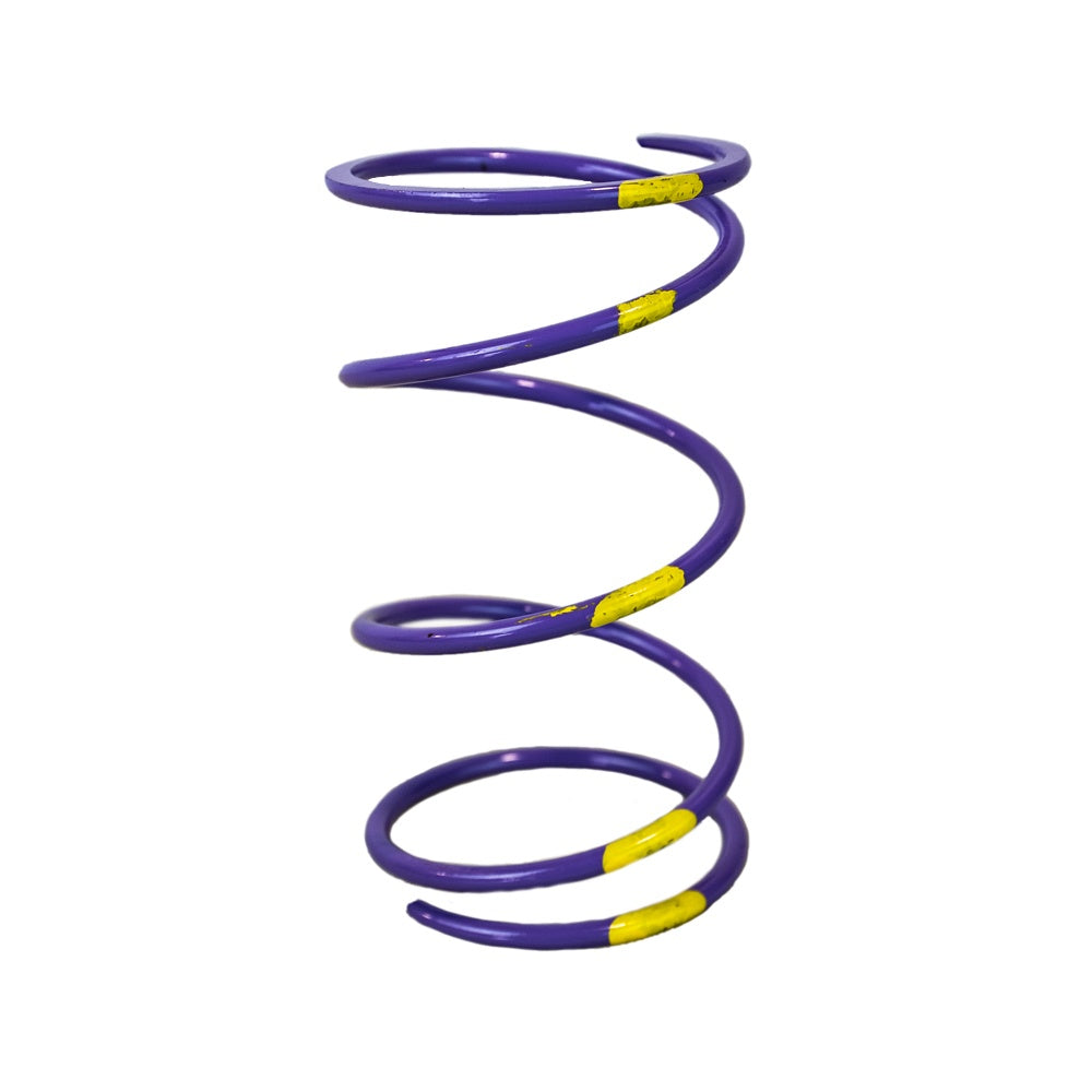 Polaris Compression Spring 3234186