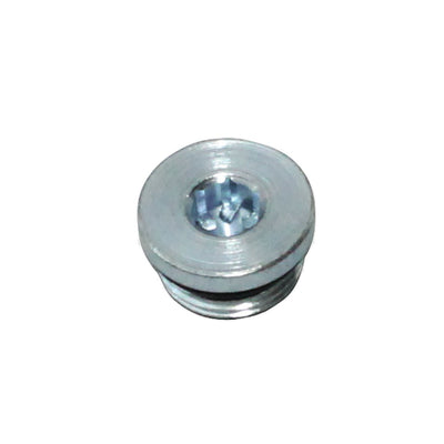 Polaris Magnetic Drain Plug Assembly 3234412
