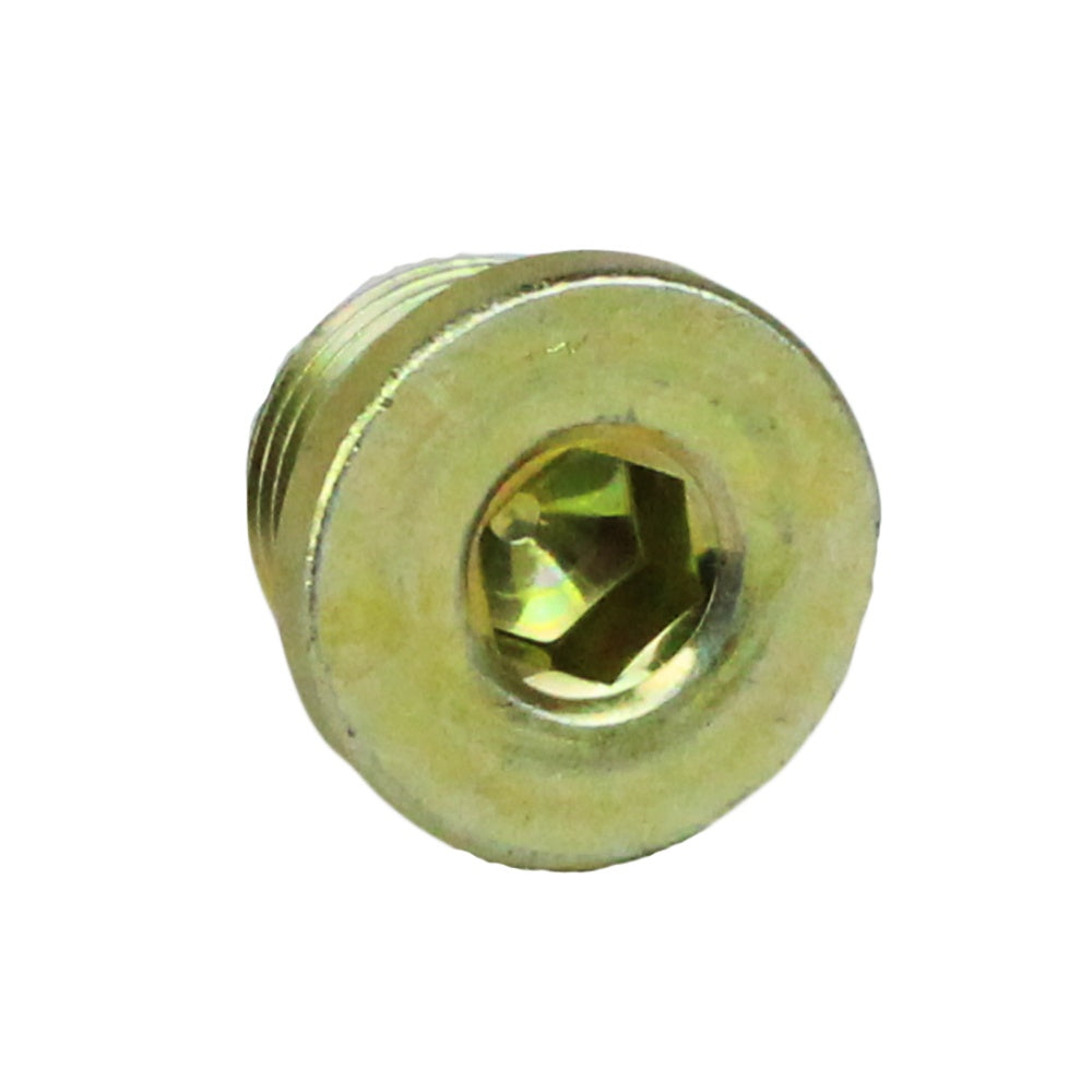 Polaris Socket Head Plug with Magnet 3234756