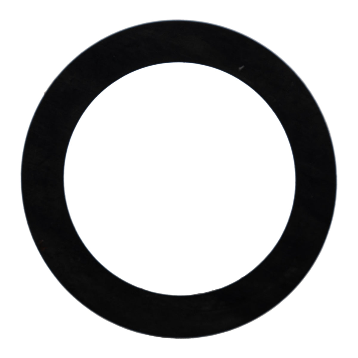 Polaris Thrust Washer 3236294