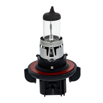 Polaris 12 Volt Light Bulb 4012279