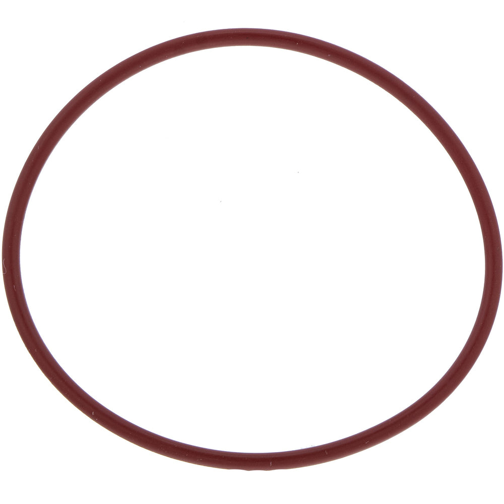 BRP Engine O-Ring 420230923
