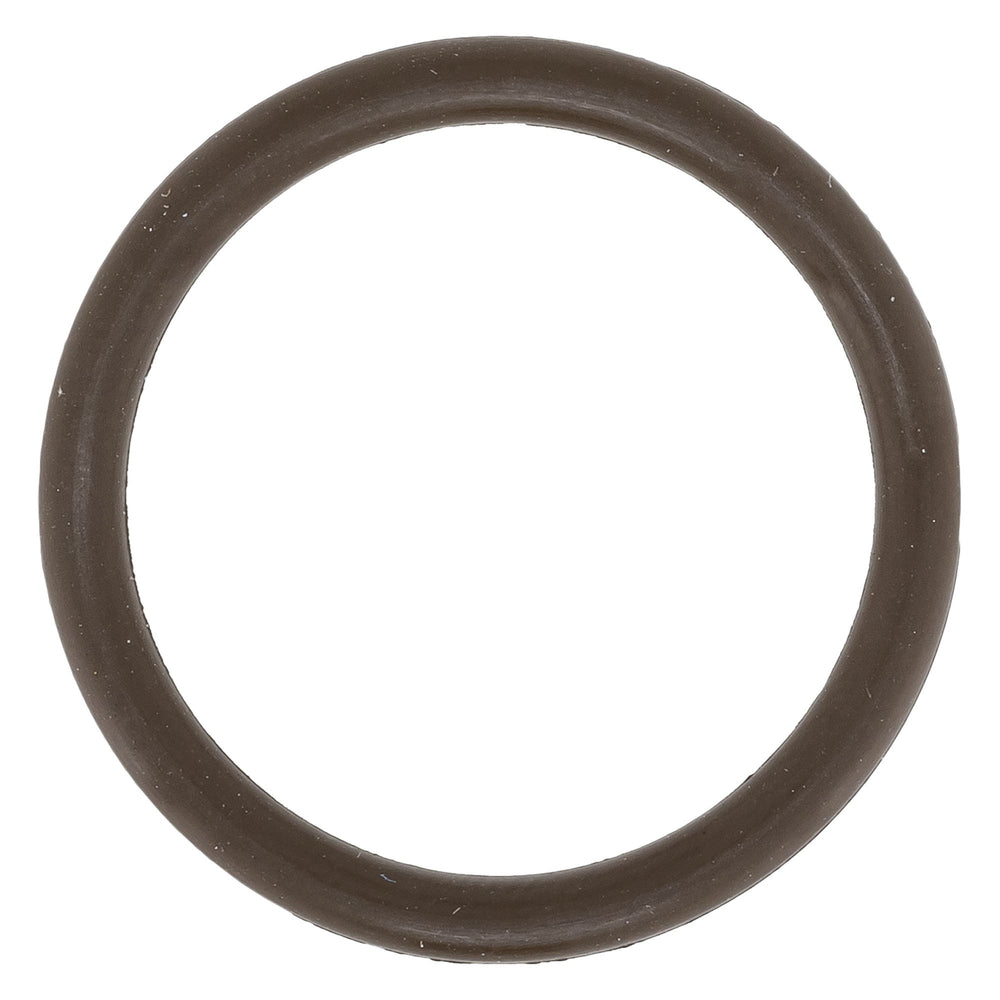 BRP O-Ring 420430373