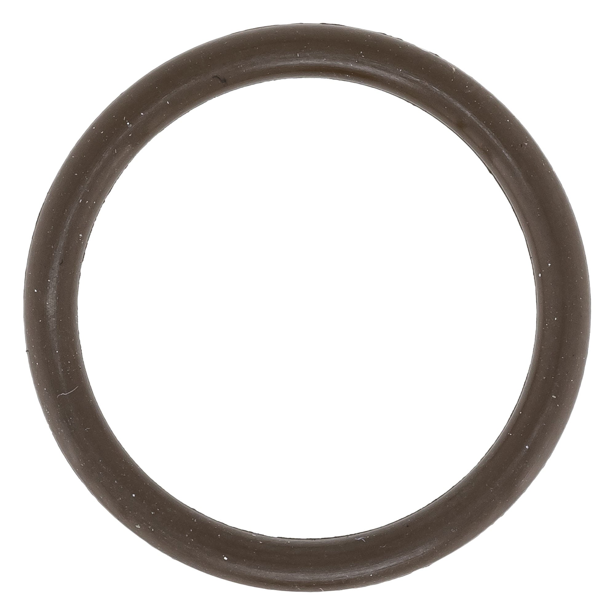 BRP O-Ring 420430373