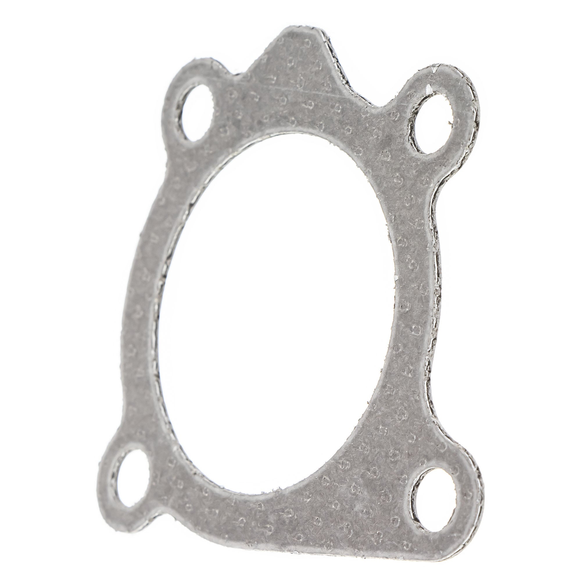 Ski-Doo 420430486 BRP 2017 Renegade Gasket