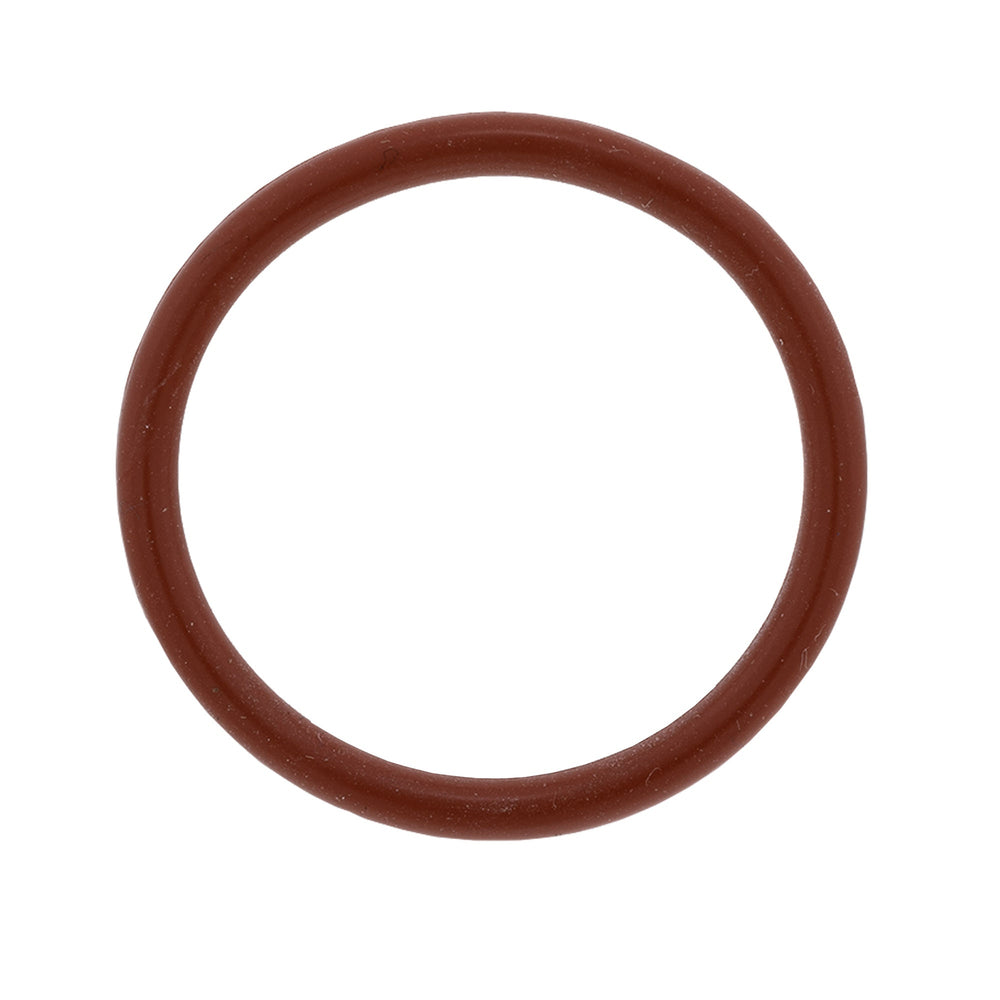 BRP O-RING 420430782
