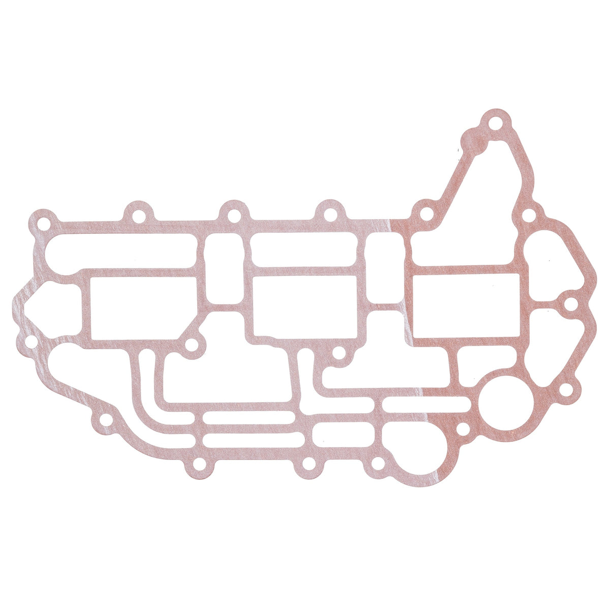 Genuine OEM BRP Gasket