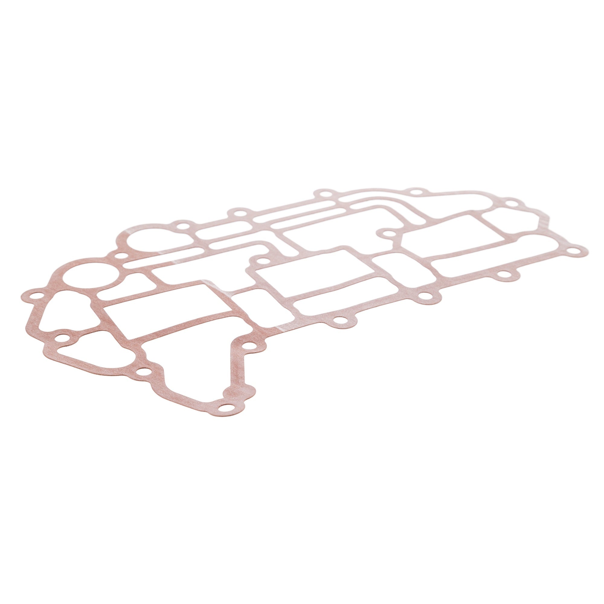 BRP 420431822 Gasket