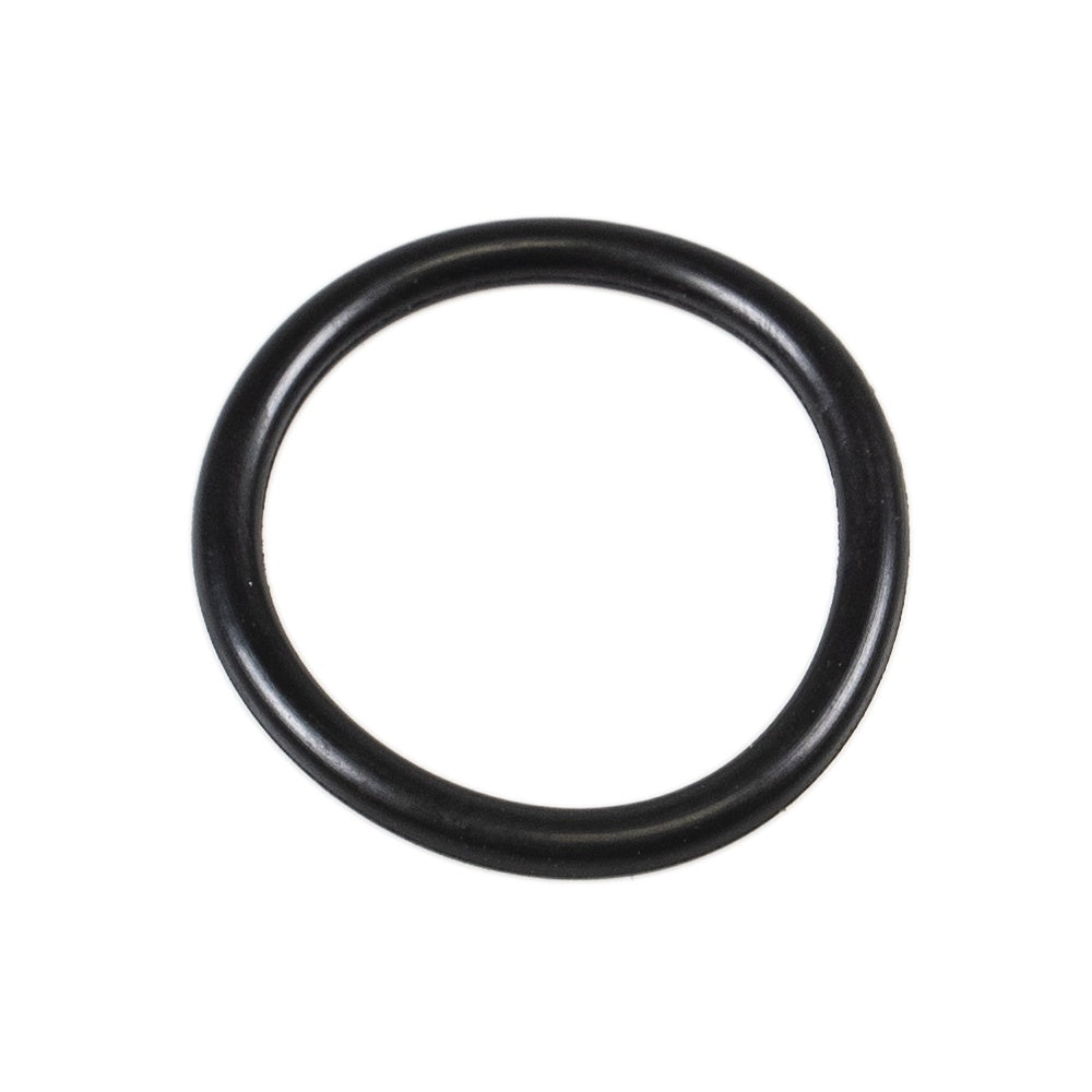 BRP BV2S Helmet Visor RPM O-Ring 4482670090