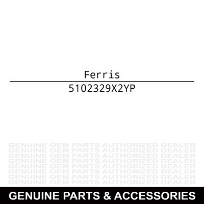 Ferris Wheel 10X7 F237 5102329X2YP