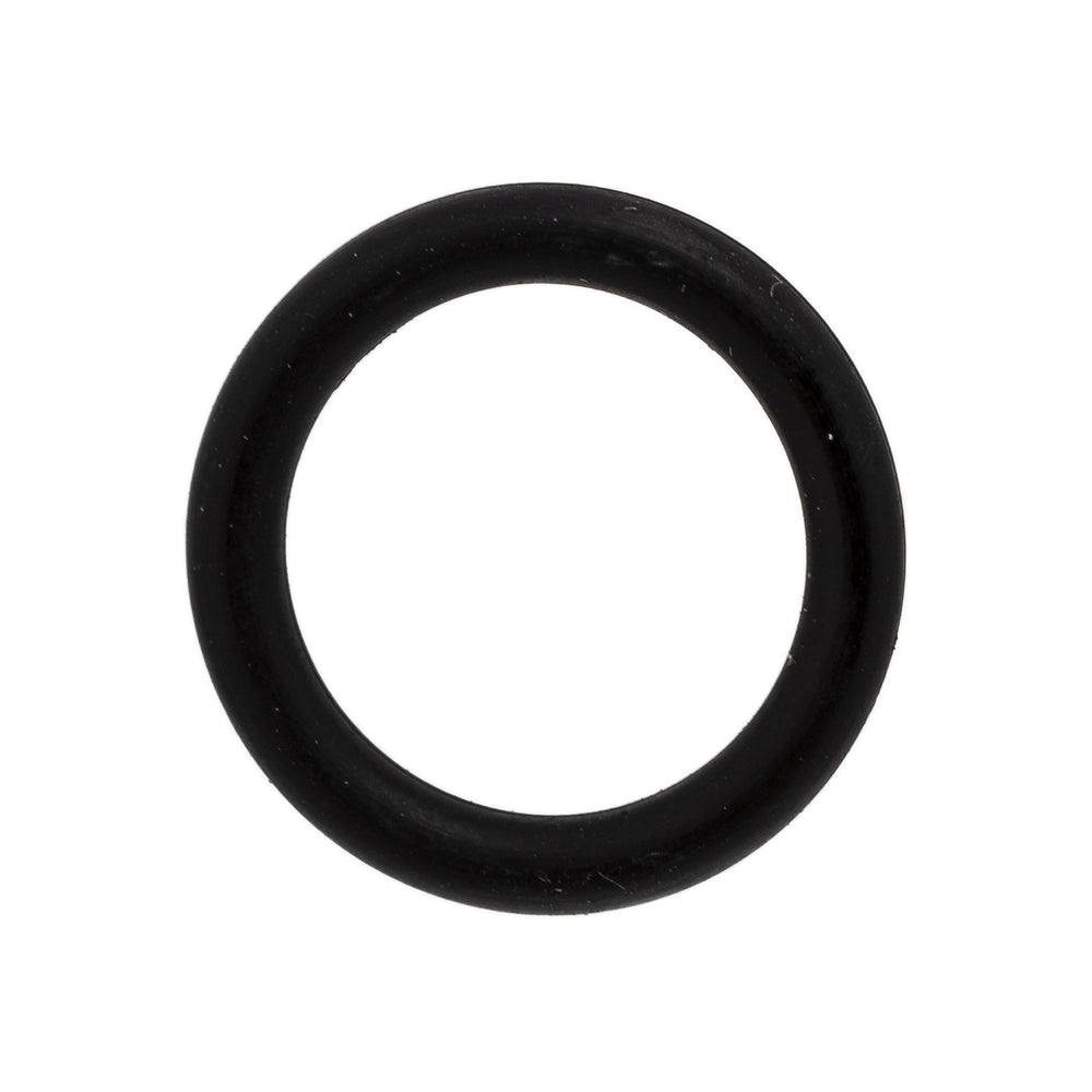 Polaris Headlight O-Ring 5410163