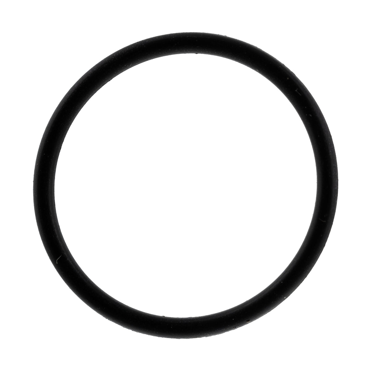 Polaris O-Ring 5410463 alternate view