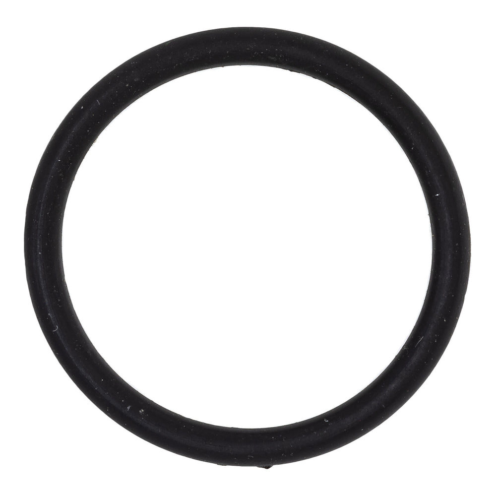 Polaris O-Ring 5410818