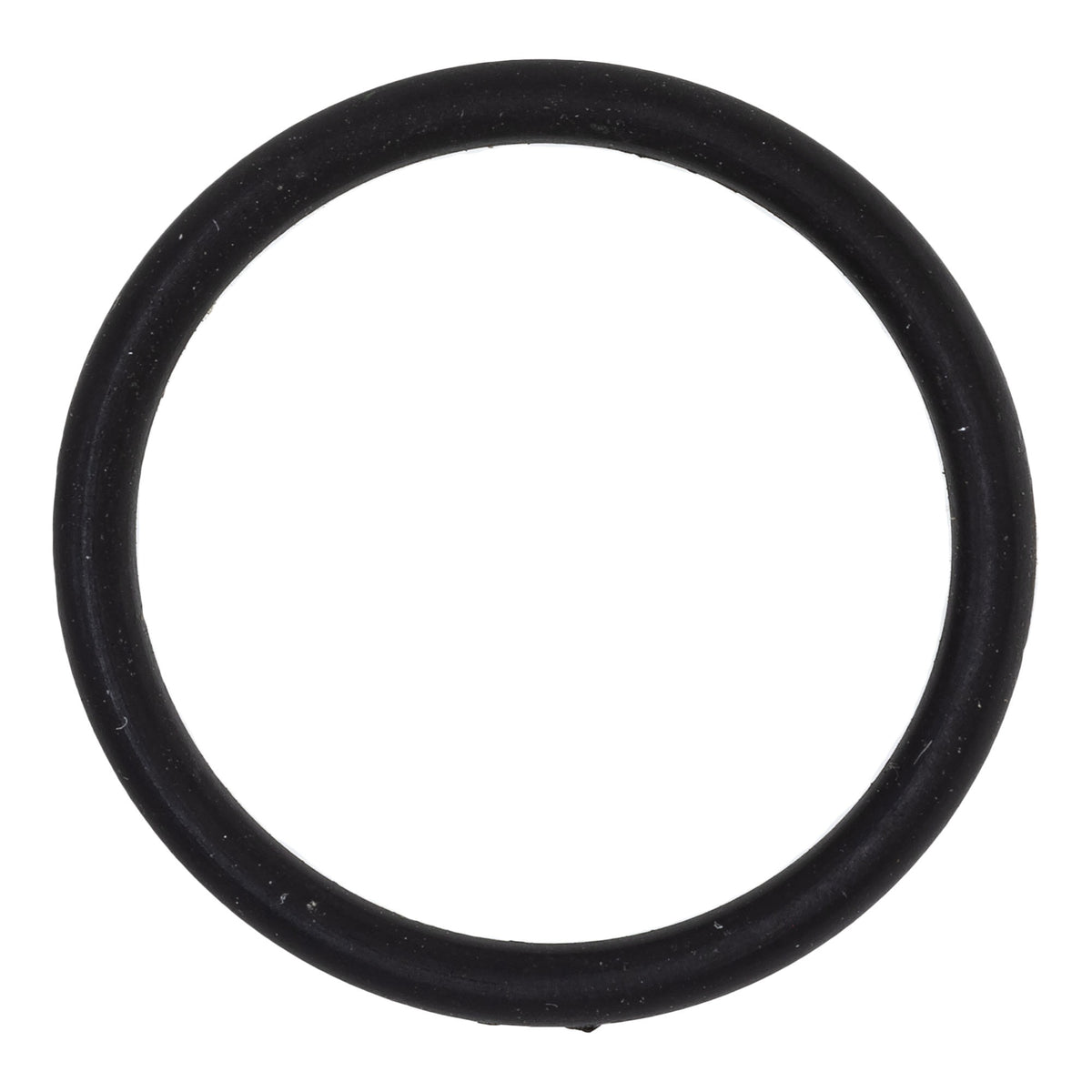 Polaris O-Ring 5410818