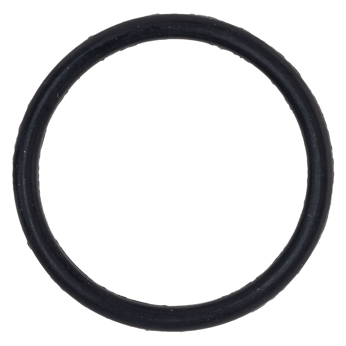 Polaris O-Ring 5410917 alternate view