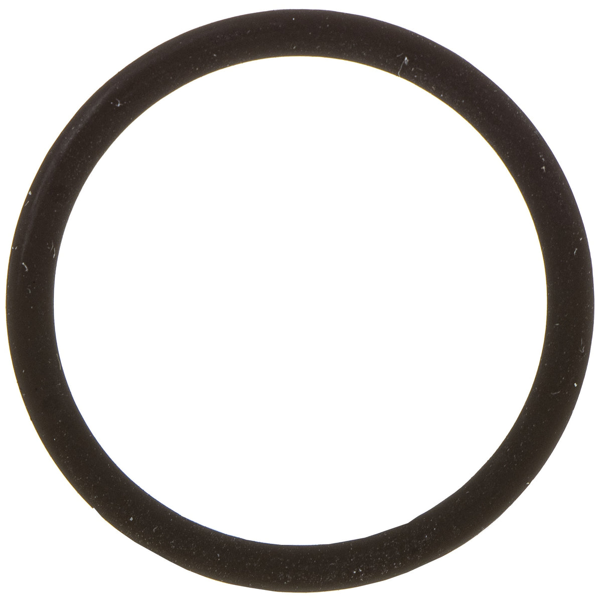 Polaris O-Ring 26.65 x 2.62 5412530