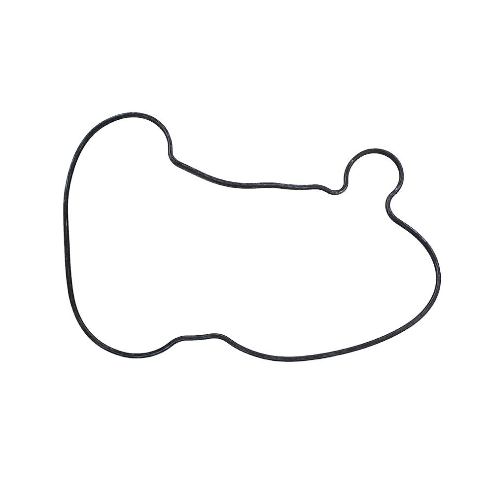 Polaris Head Gland Seal 5413036