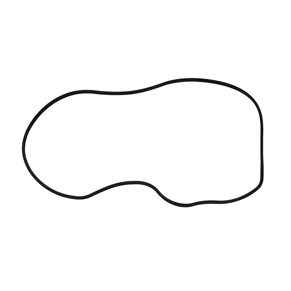 Polaris Gland Head Seal 5413230
