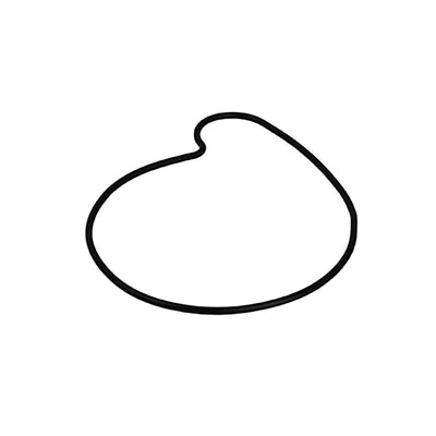 Polaris Water Pump Cover Gasket 5413811