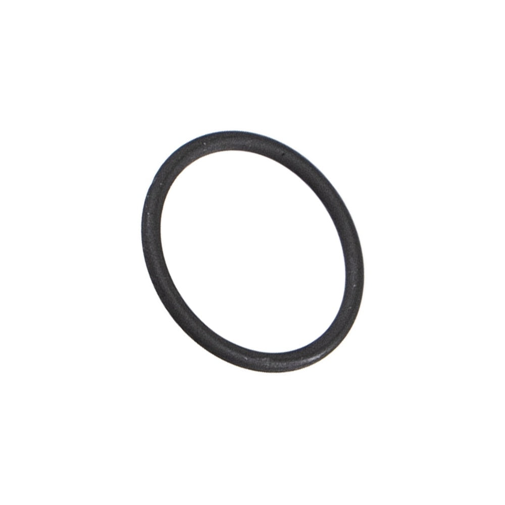 Polaris Engine TPS O-Ring 10.5 mm X 1 mm 5413812 alternate view