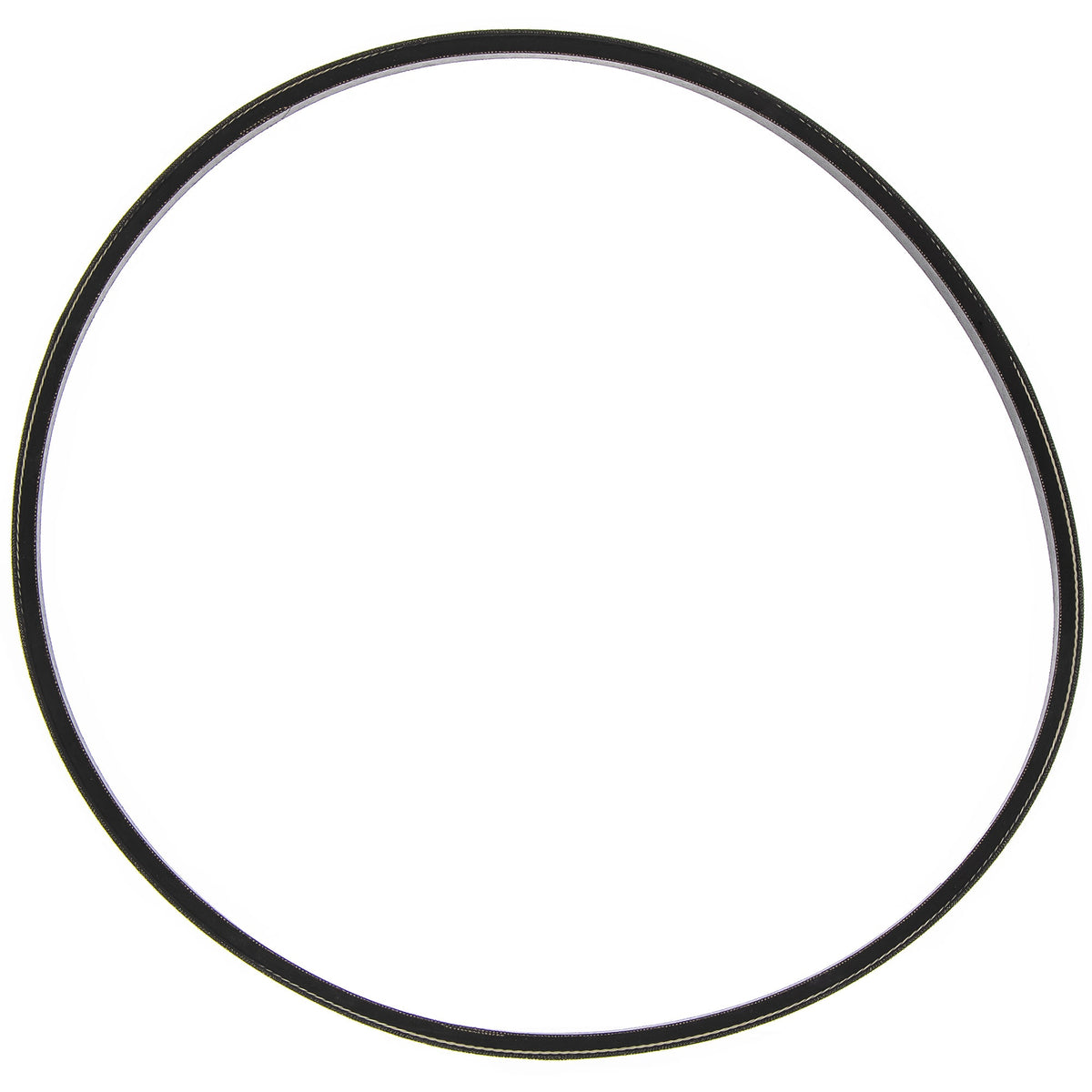 Polaris Alternator V Belt 5414297