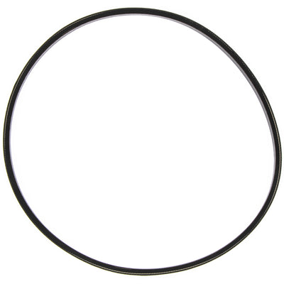 Polaris Alternator V Belt 5414297