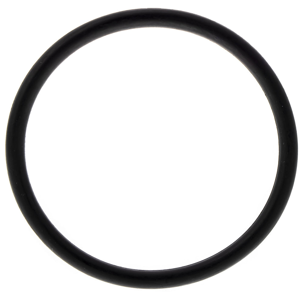 Polaris O-Ring Seal 5415647