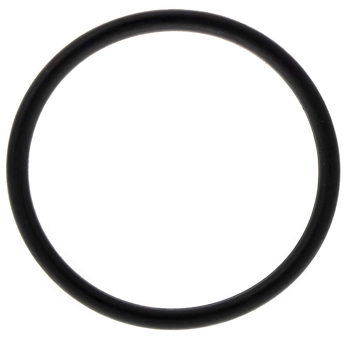 Polaris O-Ring Seal 5415647