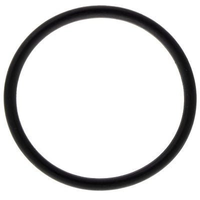 Polaris O-Ring Seal 5415647