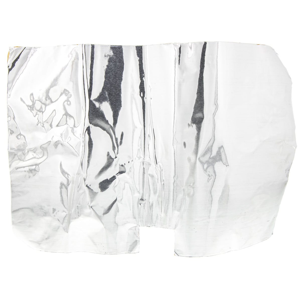 Polaris Heat Shield Foil 5813854