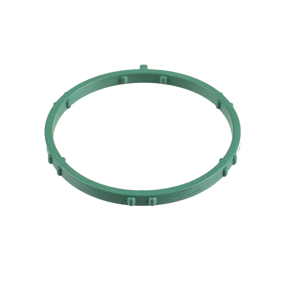 Polaris Intake ETC Gasket 5813964