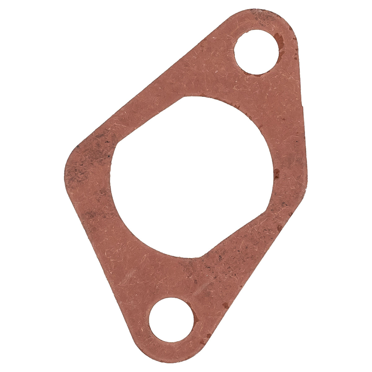 Polaris Tensioner Gasket 5814107