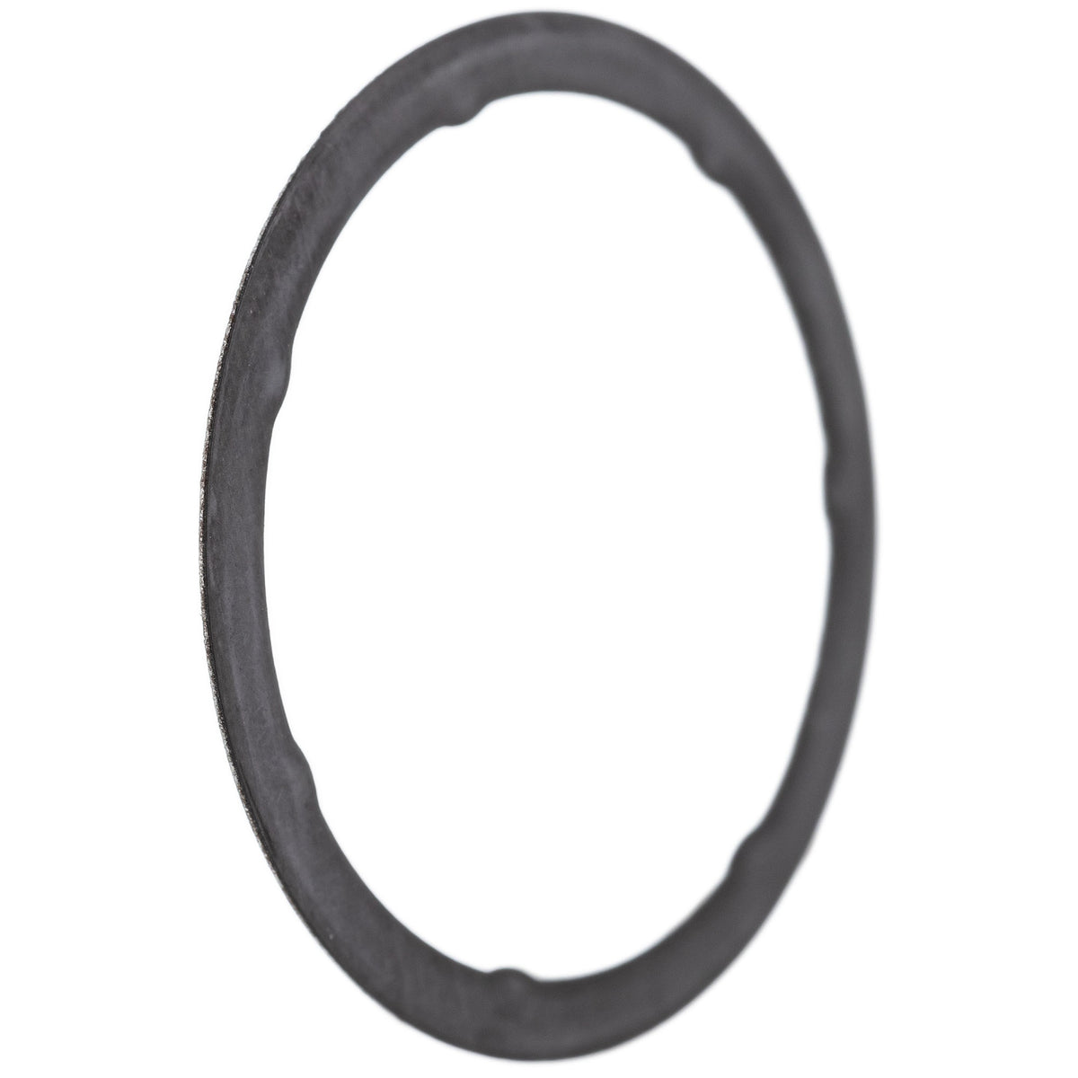 Polaris Tensioner Gasket 5814753 alternate view