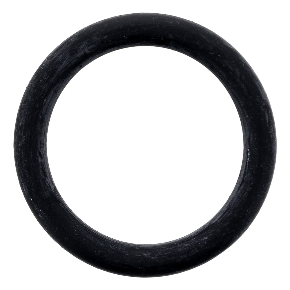Polaris O-RING 5815287