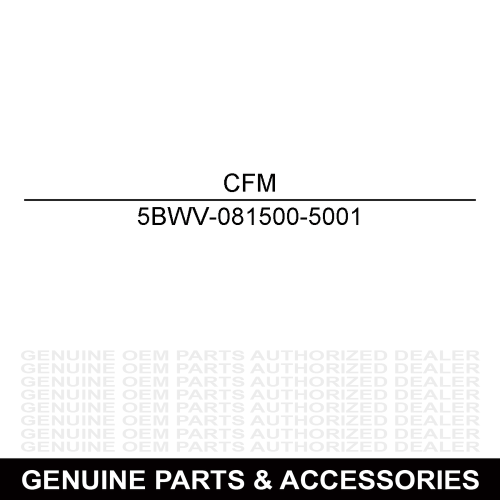 CFMoto Rear Left Brake Caliper 5BWV-081500-5001