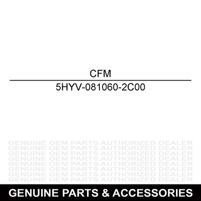 CFMoto Right Rear Brake Caliper 5HYV-081060-2C00