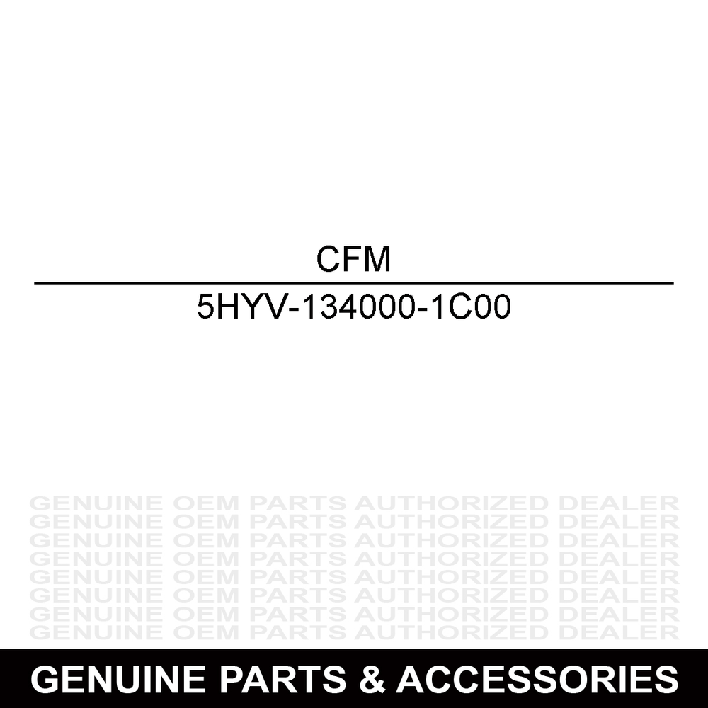 CFMoto Backrest 5HYV-134000-1C00