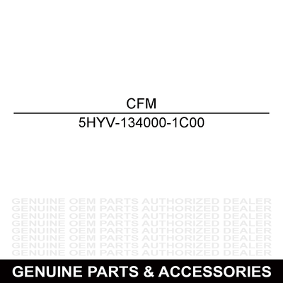 CFMoto Backrest 5HYV-134000-1C00